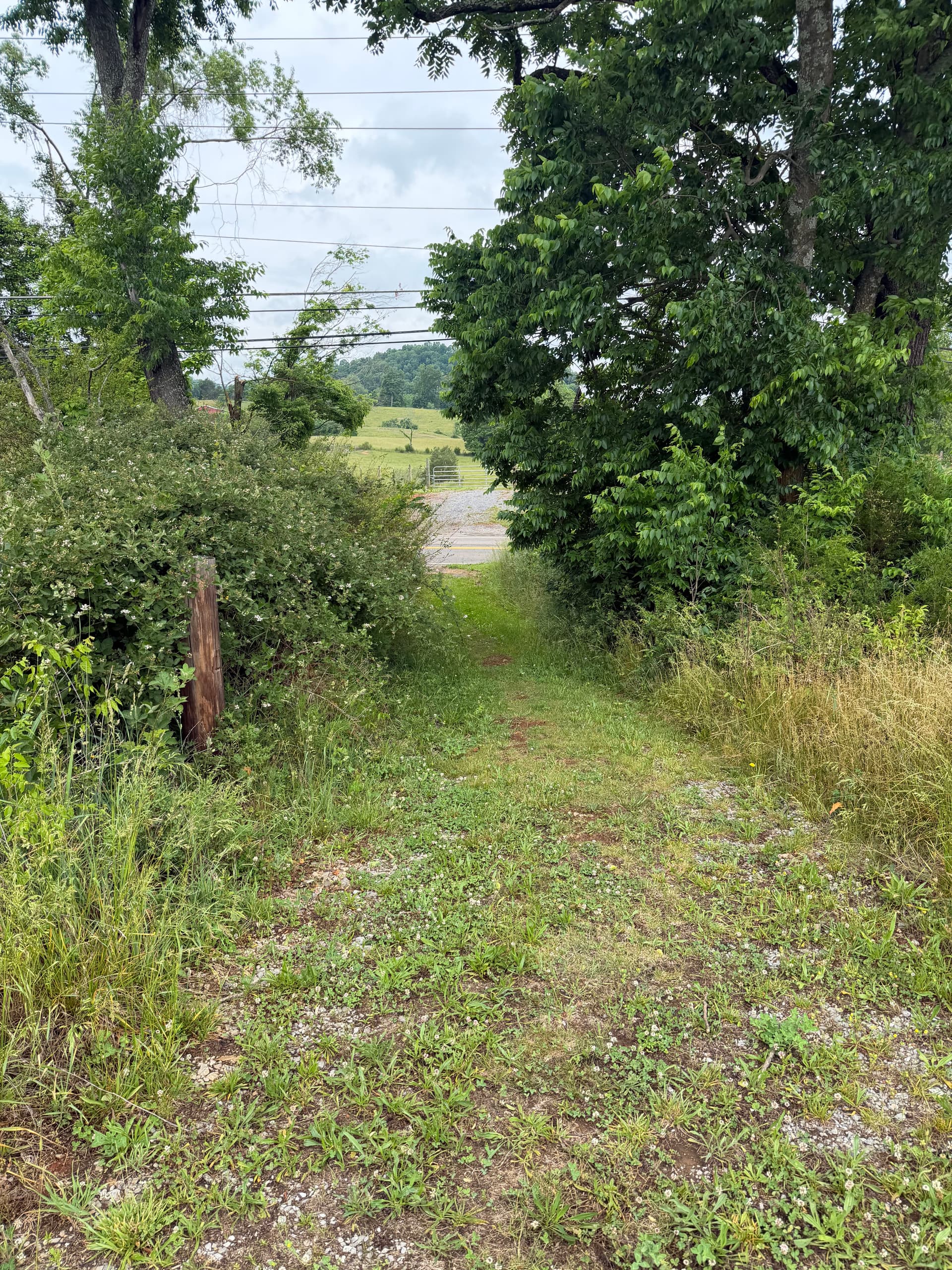 Brush Clearing Opens Up a Rogersville TN Farm Entrance image