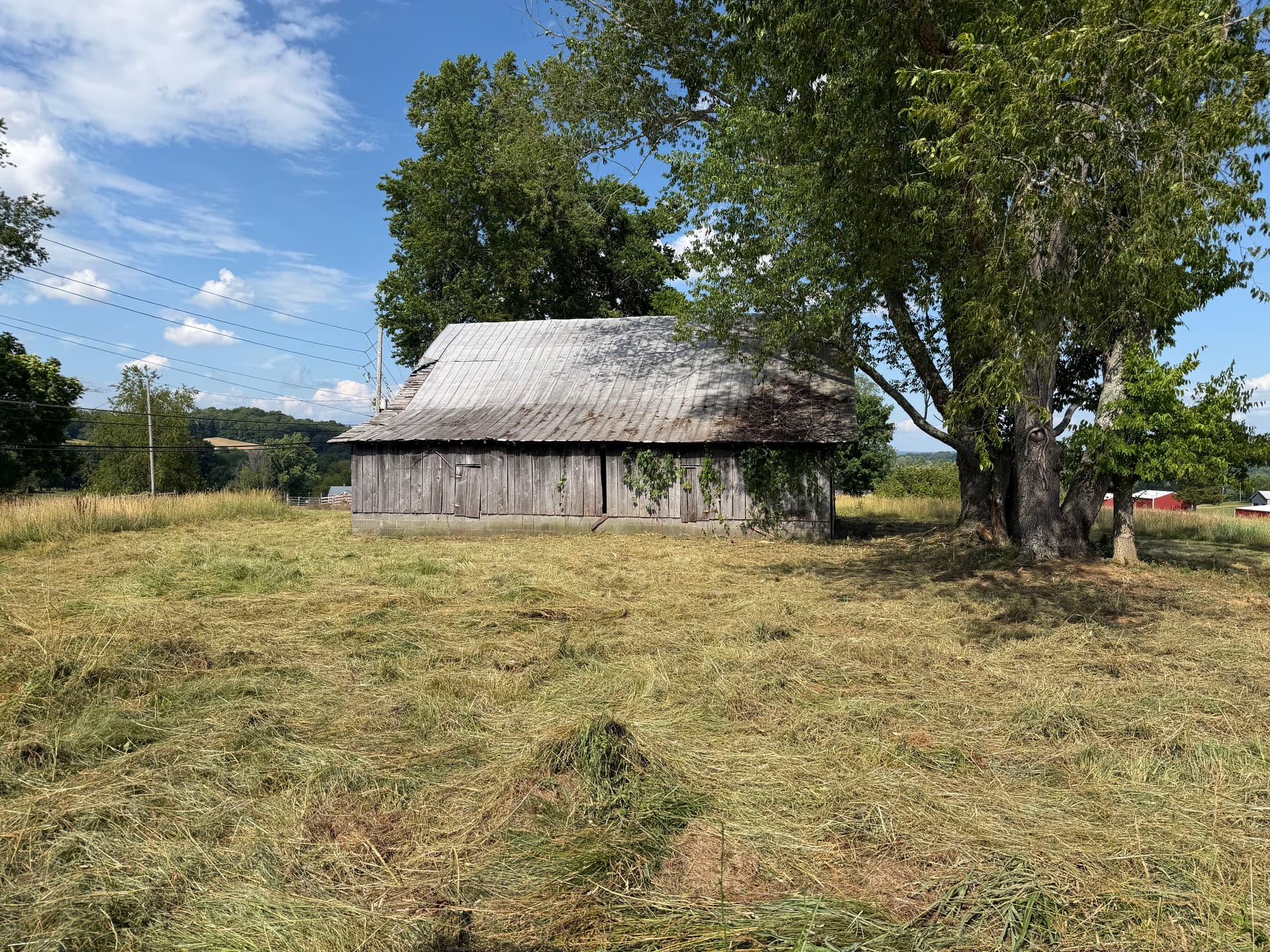 Gallery photos for Brush Clearing Gets This Surgoinsville Property Back to Working Order: Image #2
