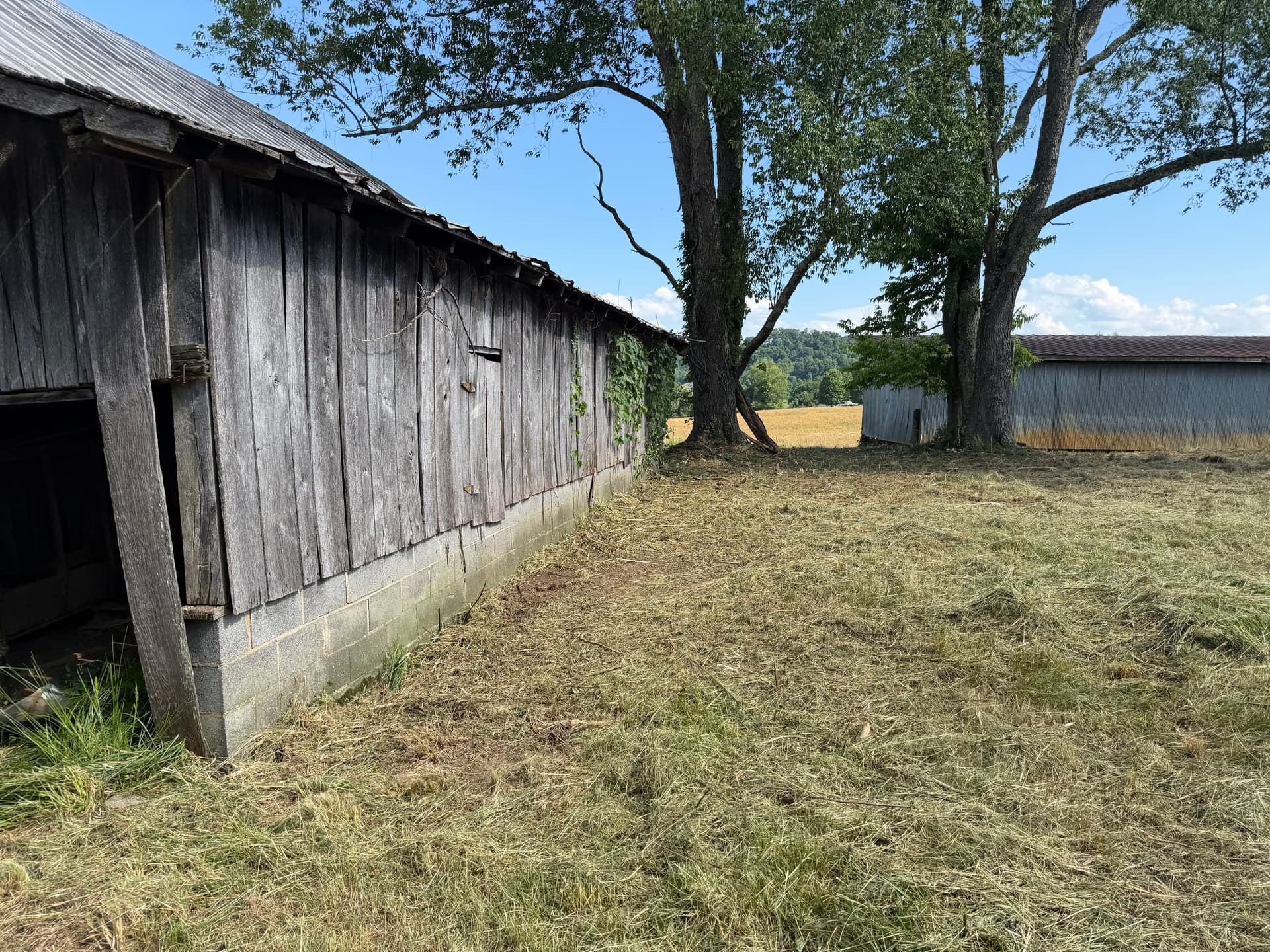 Gallery photos for Brush Clearing Gets This Surgoinsville Property Back to Working Order: Image #3