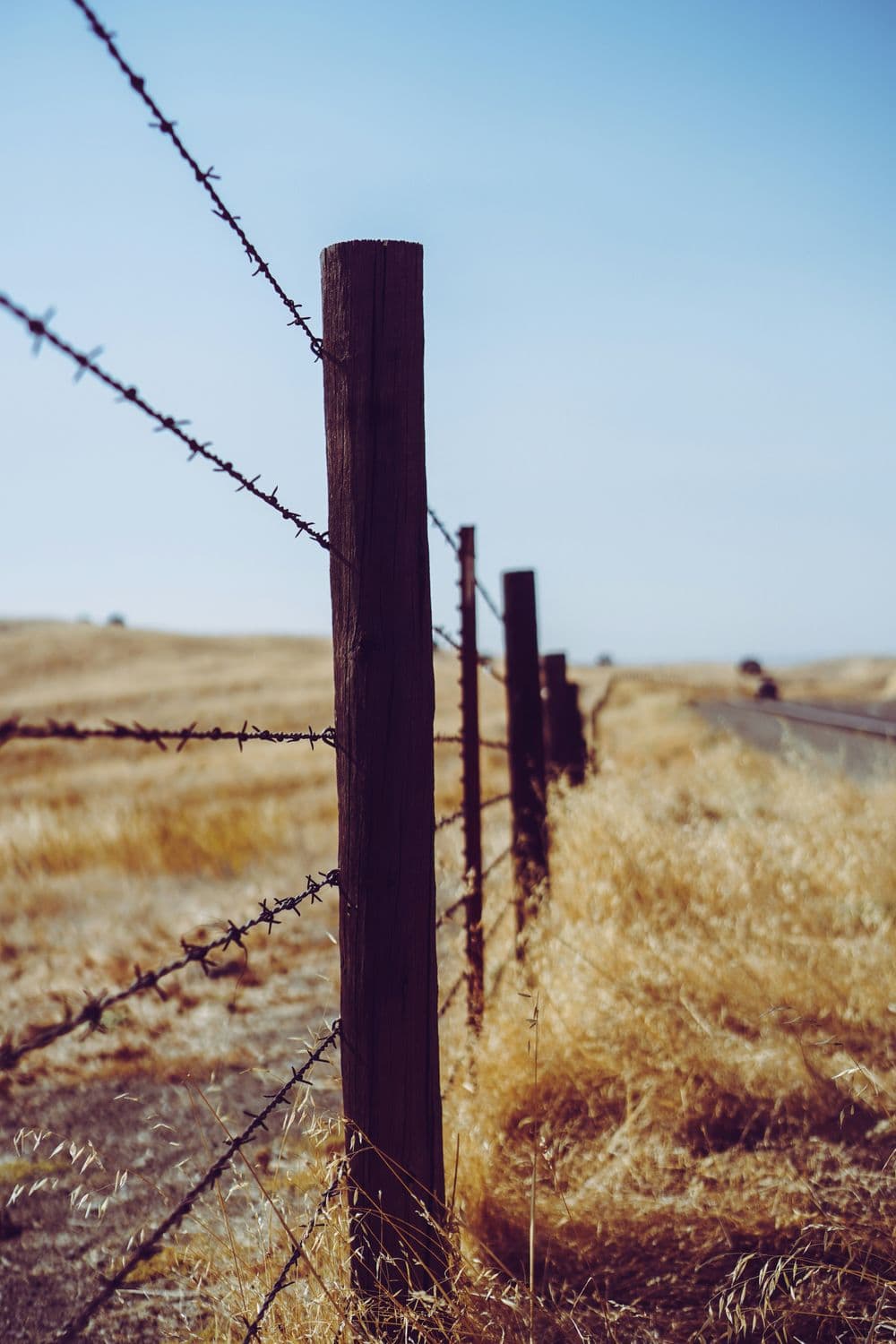 Barbed wire fence along a dry, grassy field under a blue sky.